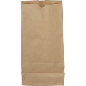 Paper - Kraft Paper Bags 20lb (500)