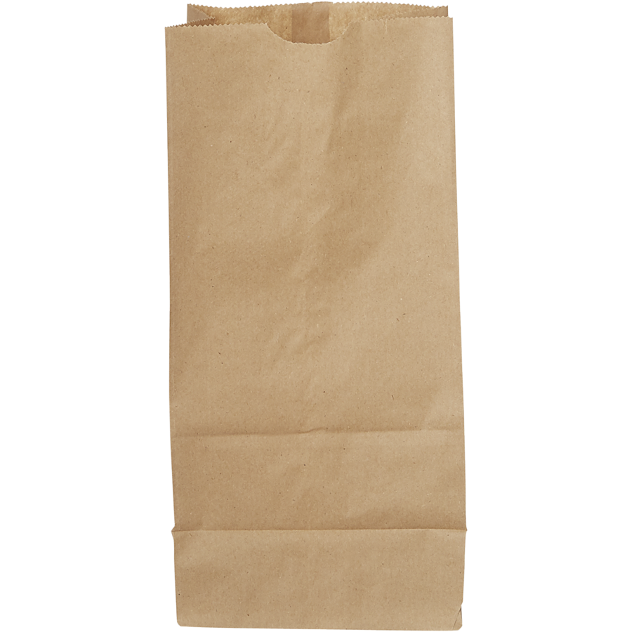 Paper - Kraft Paper Bags #7 (500)